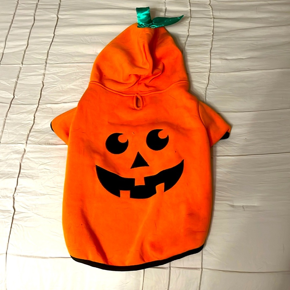 Dog Halloween Pumpkin Costume
